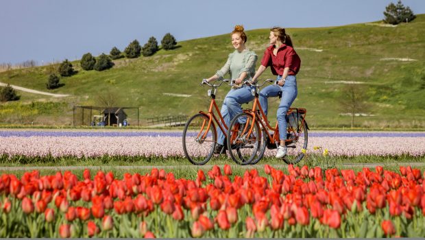 Fietsen langs de bollenvelden